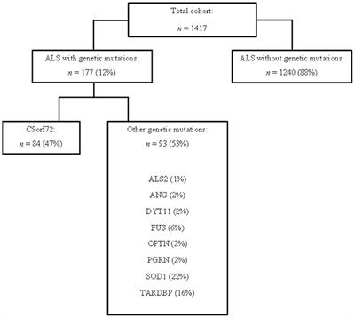 Comparative Analysis of C9orf72 and Sporadic Disease in a Large Multicenter ALS Population: The Effect of Male Sex on Survival of C9orf72 Positive Patients